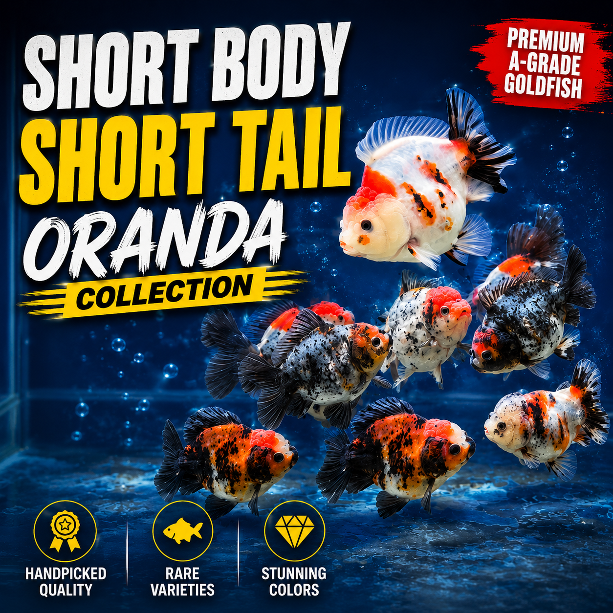 ORANDA