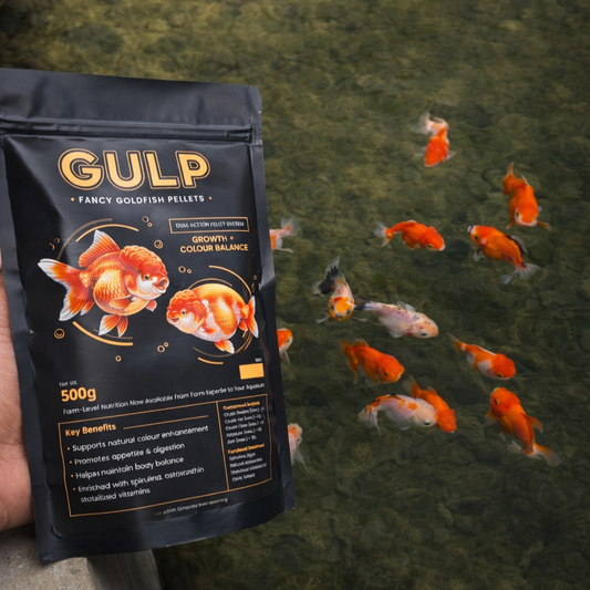 Gulp 500gms